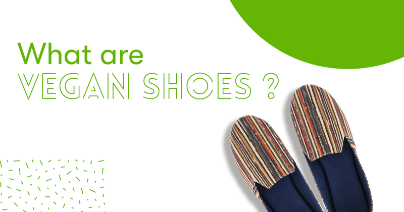 What are vegan shoes? - Paaduks